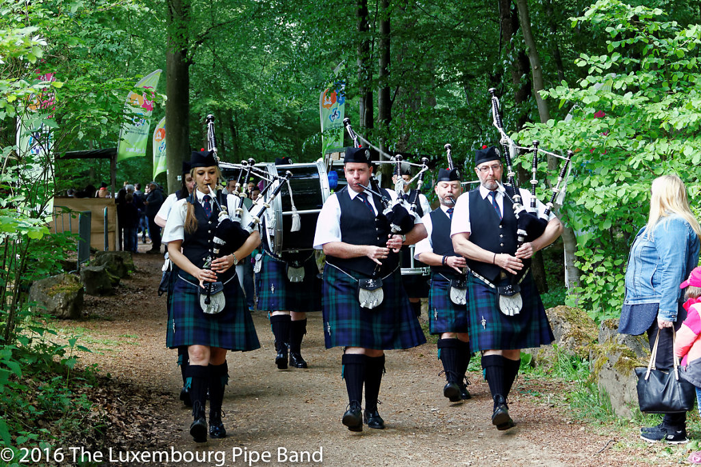 IMG-4286-DxO.jpg