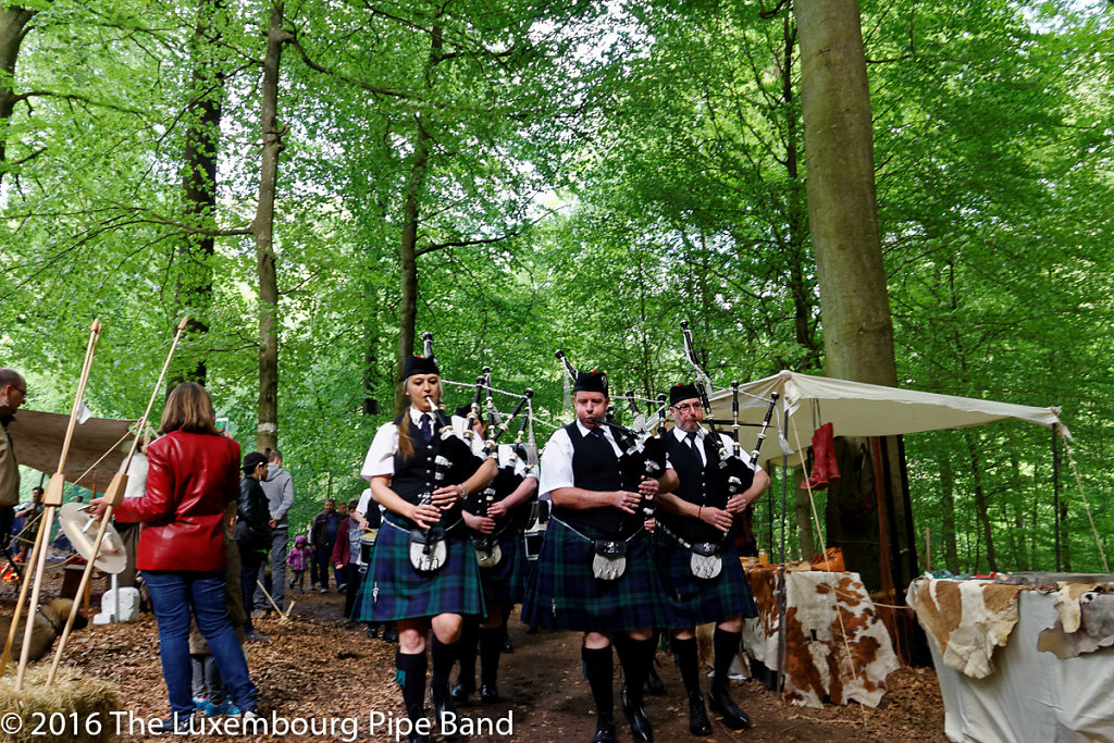 IMG-4301-DxO.jpg