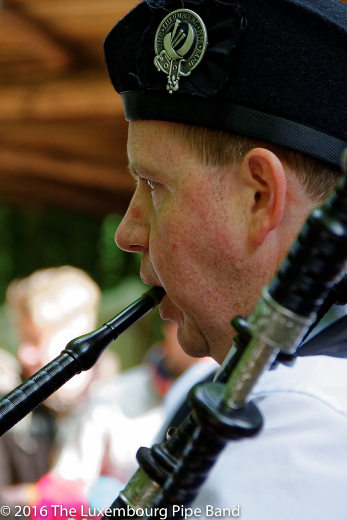 IMG-4334-DxO.jpg