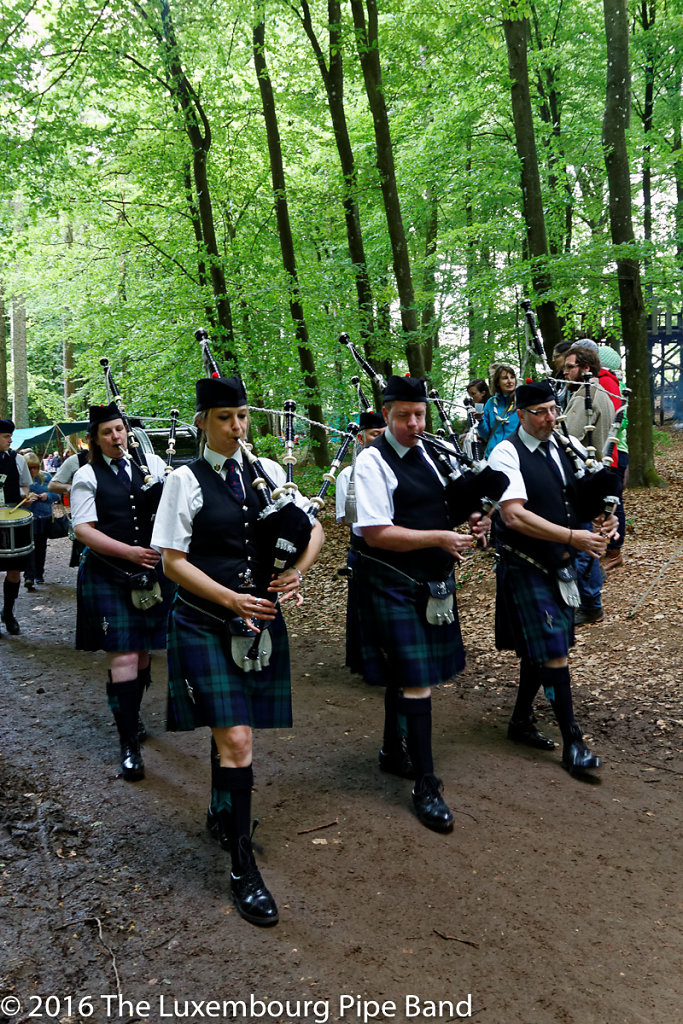 IMG-4381-DxO.jpg