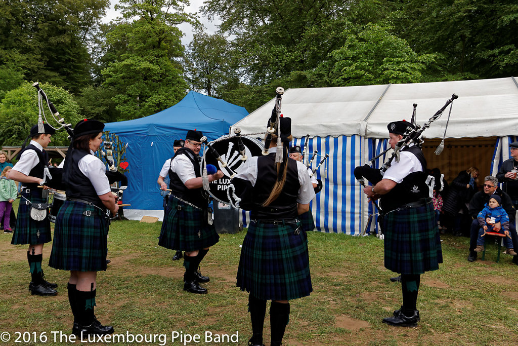 IMG-4409-DxO.jpg