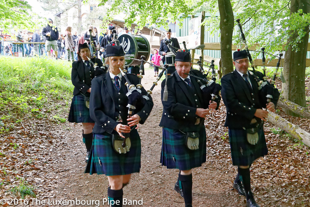 IMG-4460-DxO.jpg