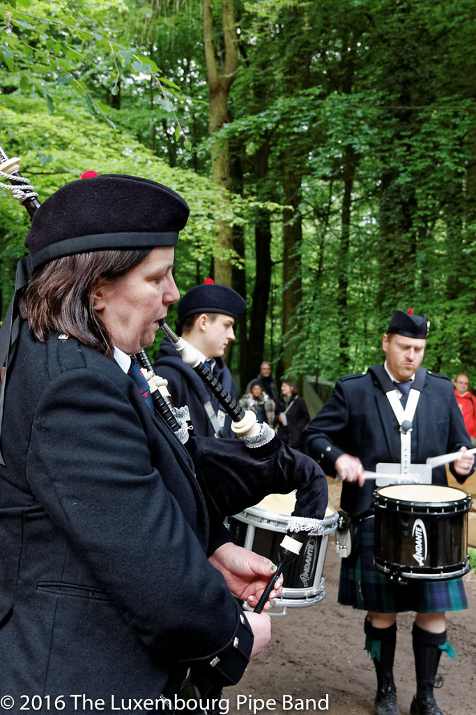 IMG-4498-DxO.jpg