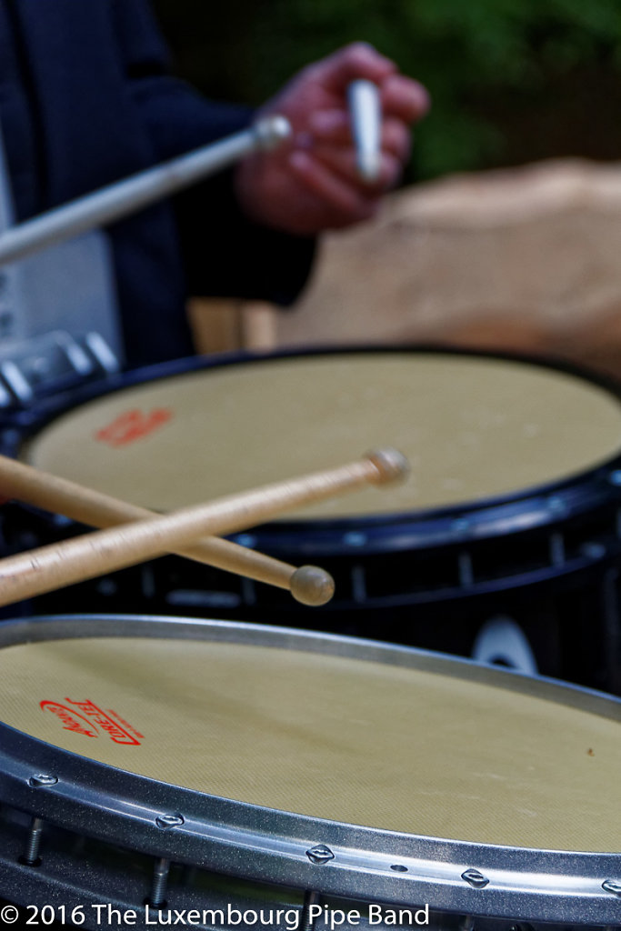 IMG-4508-DxO.jpg