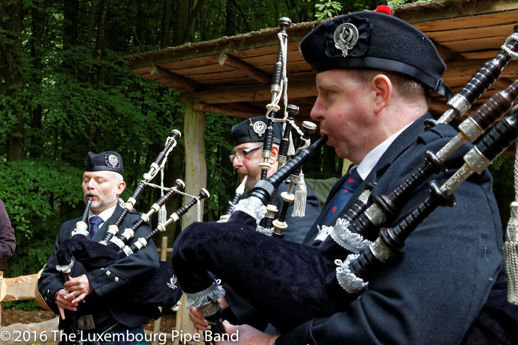 IMG-4525-DxO.jpg