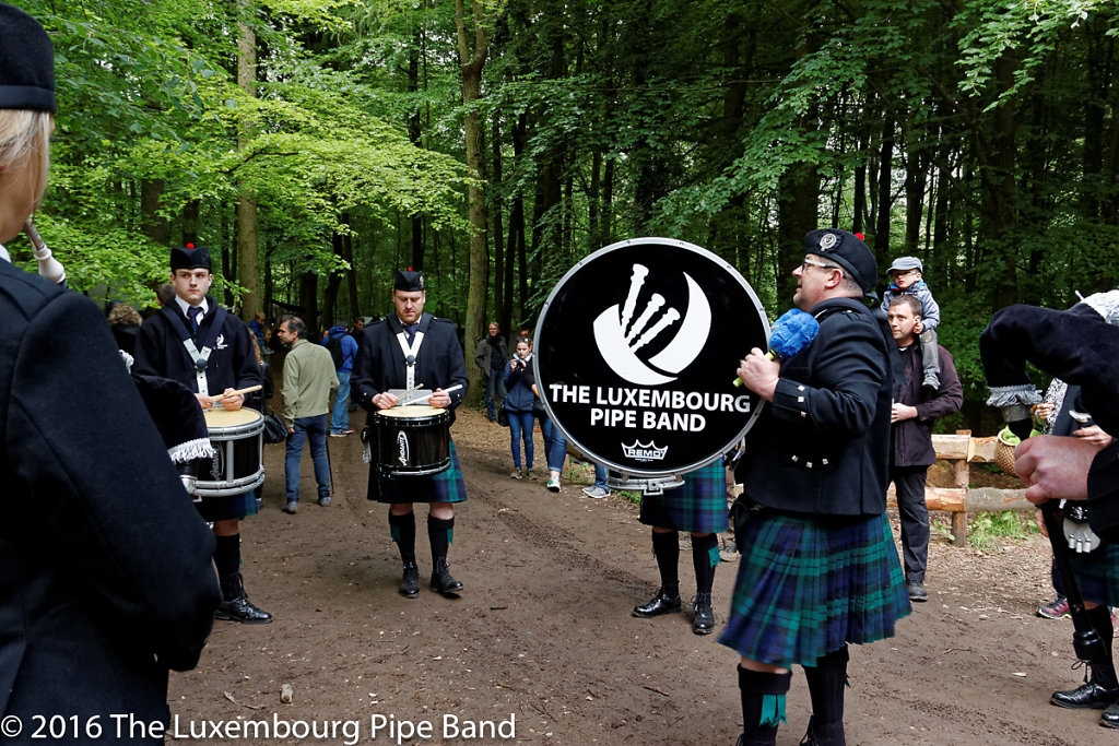 IMG-4528-DxO.jpg